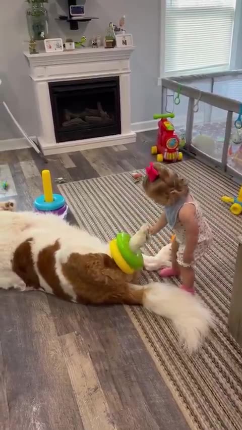 Little girl uses dog’s leg as a ring-stacking post
