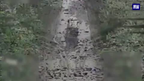 Destruction of a Ukrainian Armed Forces Pickup Truck by FPV Drone Crew