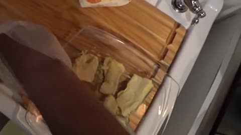 come sfiletto la murena, pescata qualche giorno fa, e come friggo il filetto_part10