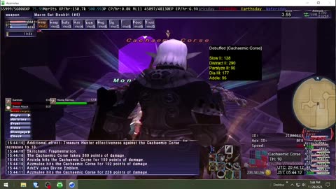 Playing Final Fantasy XI Online