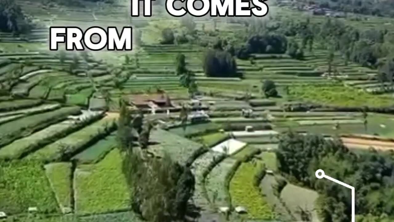 Road to succes