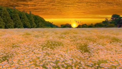 Aesthetic Garden Vibes 🌼 Chill Flower Walk with Me"