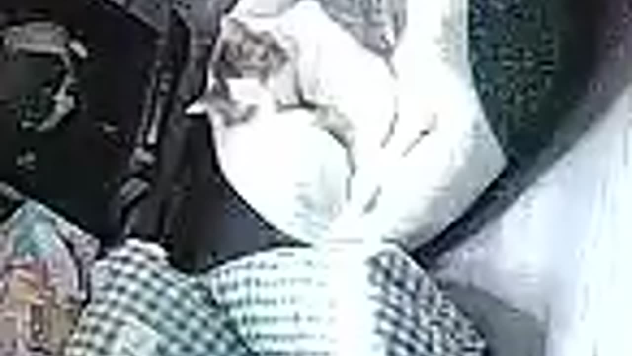 🤣🐾 Cat Startled Herself Into Chaos! Wait for Her Reaction | FunFM