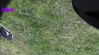 жители на „Захарна фабрика“, против настаняването на ромите в общински жилища.