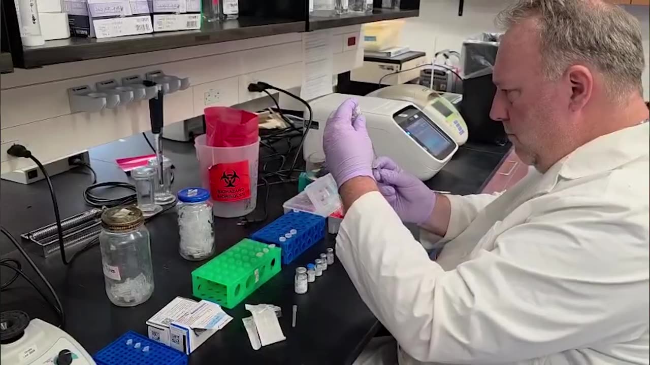 Massive DNA contamination