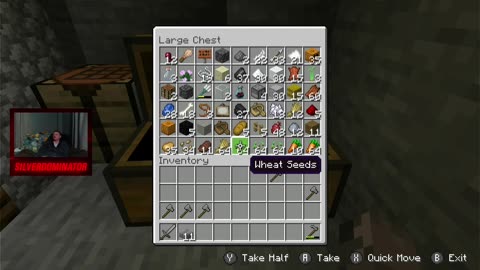 We are Back on Minecraft! W/SilverDominator