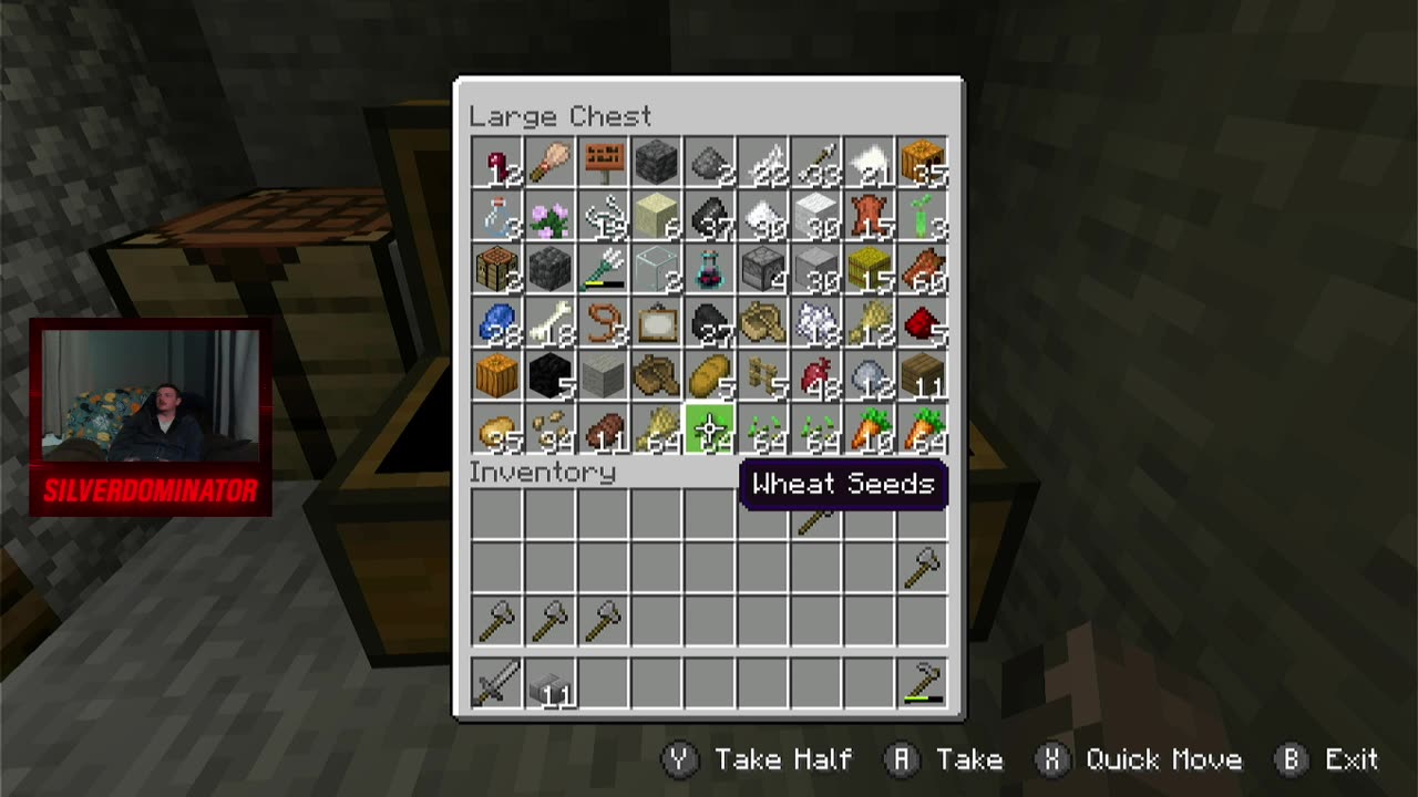 We are Back on Minecraft! W/SilverDominator