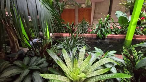 Colorado - Botanical Garden - Arista Farmers Market - Dry Creek Trailhead - Davidson Mesa Trail