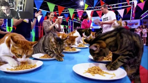 Outtake #1,189 Of The Cats Attempt The Vegan Pasta Eating Contest Fake Funny Parody Video