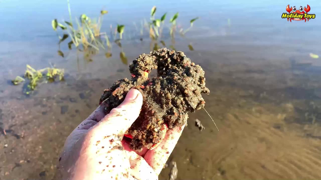Fishing in the River and Catching King Crabs in the Morning