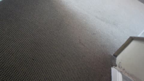 SaltFest Day ONE: Let's keep it tidy!