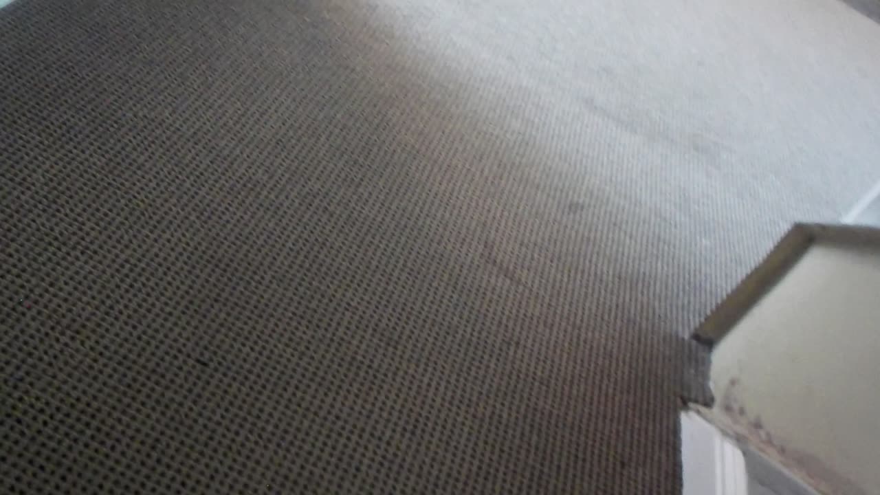 SaltFest Day ONE: Let's keep it tidy!