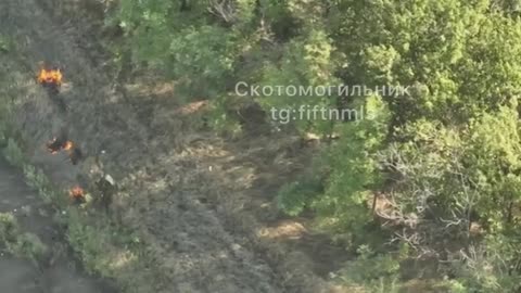 Ukraine war combat footage 8/29/25