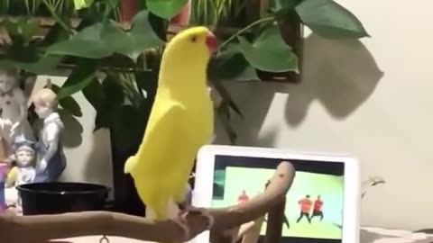 Adorable Pet Caught in a Candid Moment 🐾✨
