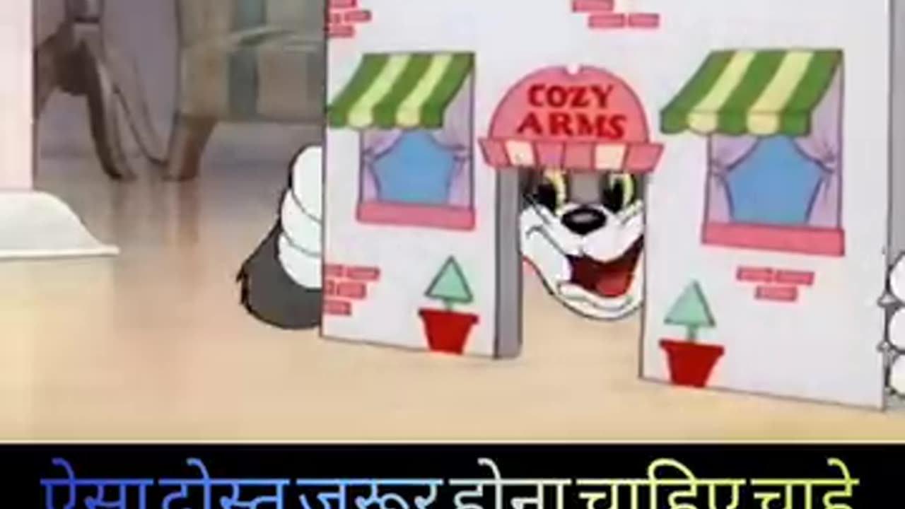 Funny videos 😂😂