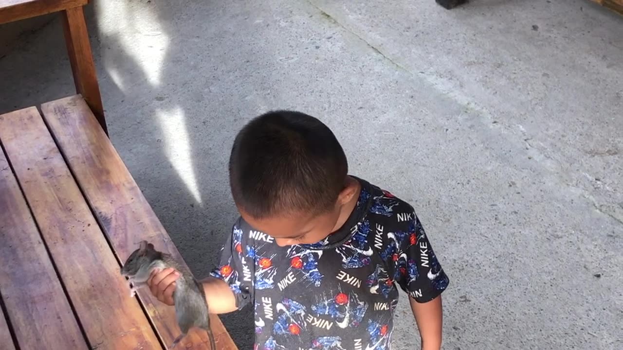 Nephew Makes Friends With Local Rat