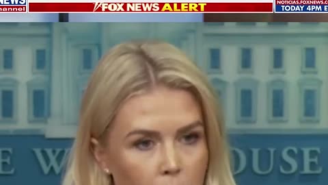 Karoline Leavitt Lays Out 'End Result' for Deported Alleged MS-13 Member