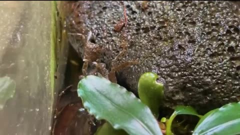 One Year Ago I Built an Ecosystem, This Happened