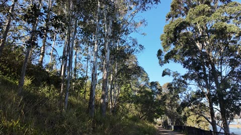 Sydney Penrith Nepean River North Walk 1