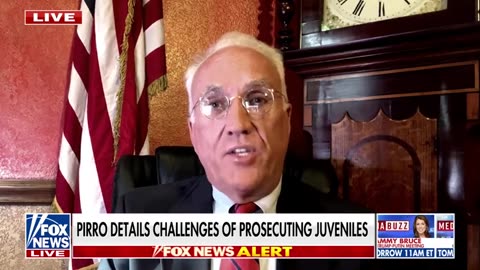 Ex-US attorney applauds Trump for cracking down on DC crime | ‘It’s about time’