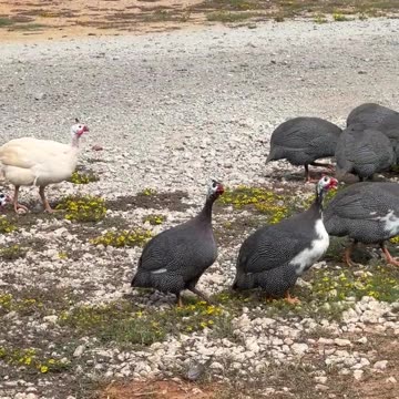 Bug Patrol is doing their job!!!