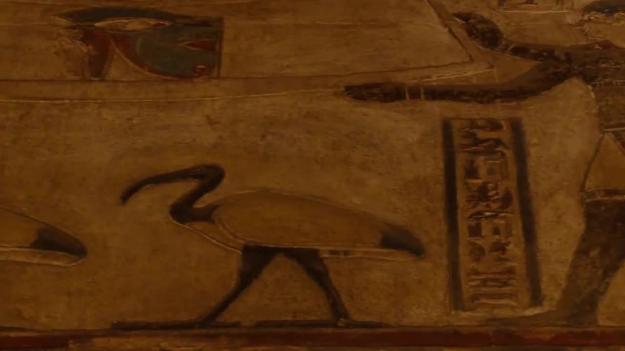 🛕 Inside the Temple of Hathor, Dendera – Stunning Ancient Wall Paintings!