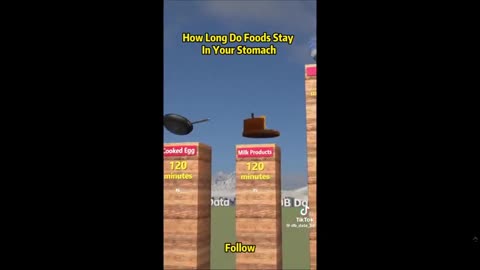 Curious about how long food hangs out in your stomach？