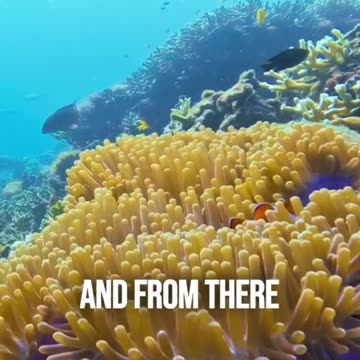 RFK Jr. Promises Trump-Led Administration Will Confront Microplastics Crisis with Aggressive Reforms