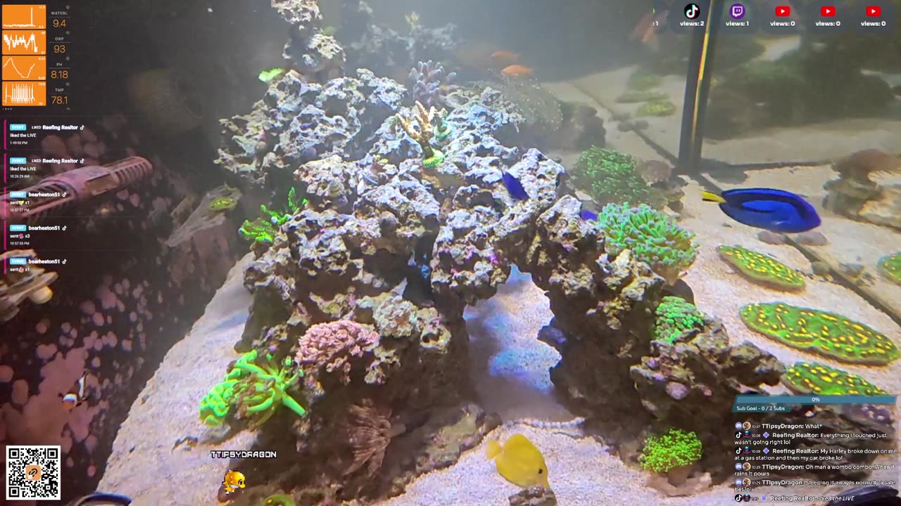 24/7 Real Live Reef Stream