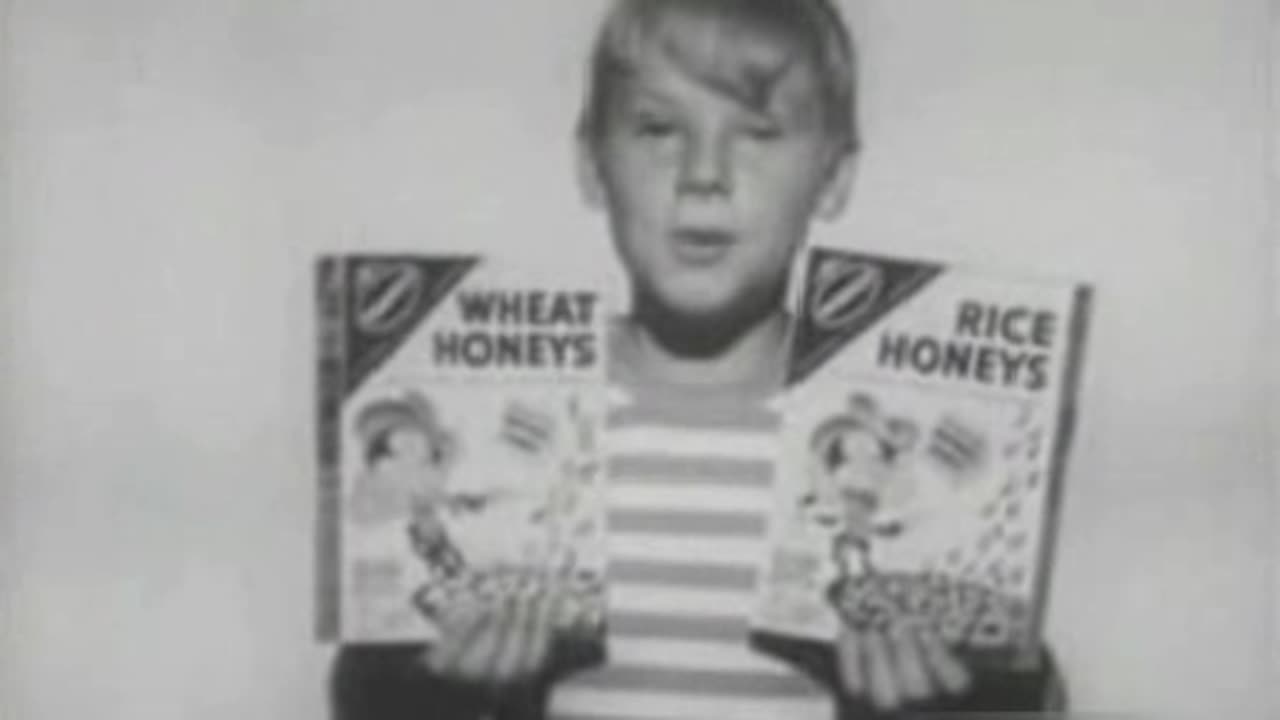 Commercial - Nabisco Wheat & Rice Honeys Cereal