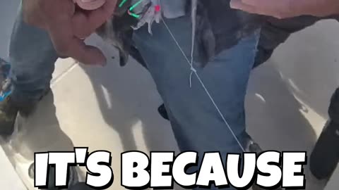 #SHORTS - THE DARK SIDE OF FISHING
