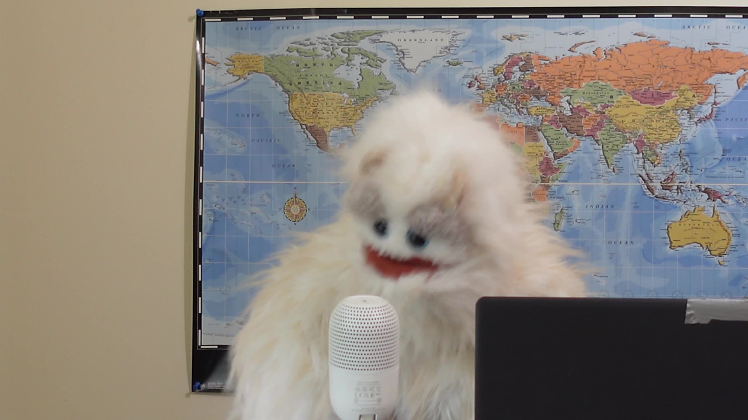 Trump has to negate the EU and NEOCON influence to achieve a lasting peace in Ukraine