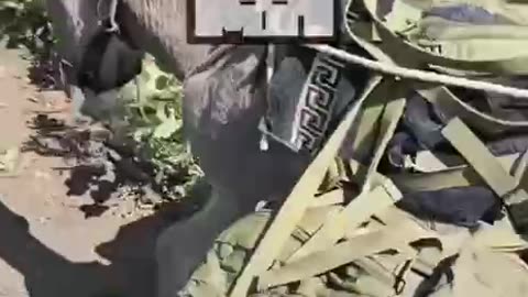 Russians continue to use donkeys to transport supplies and provisions due to a shortage