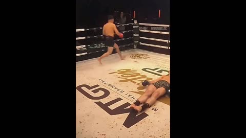 Funny knockouts.