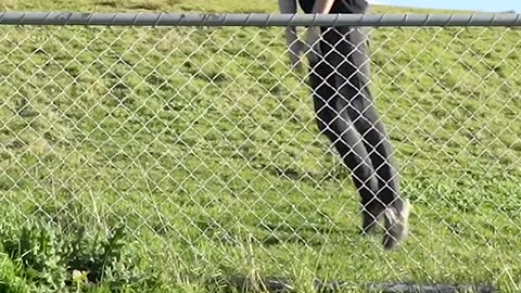 Runing of animal