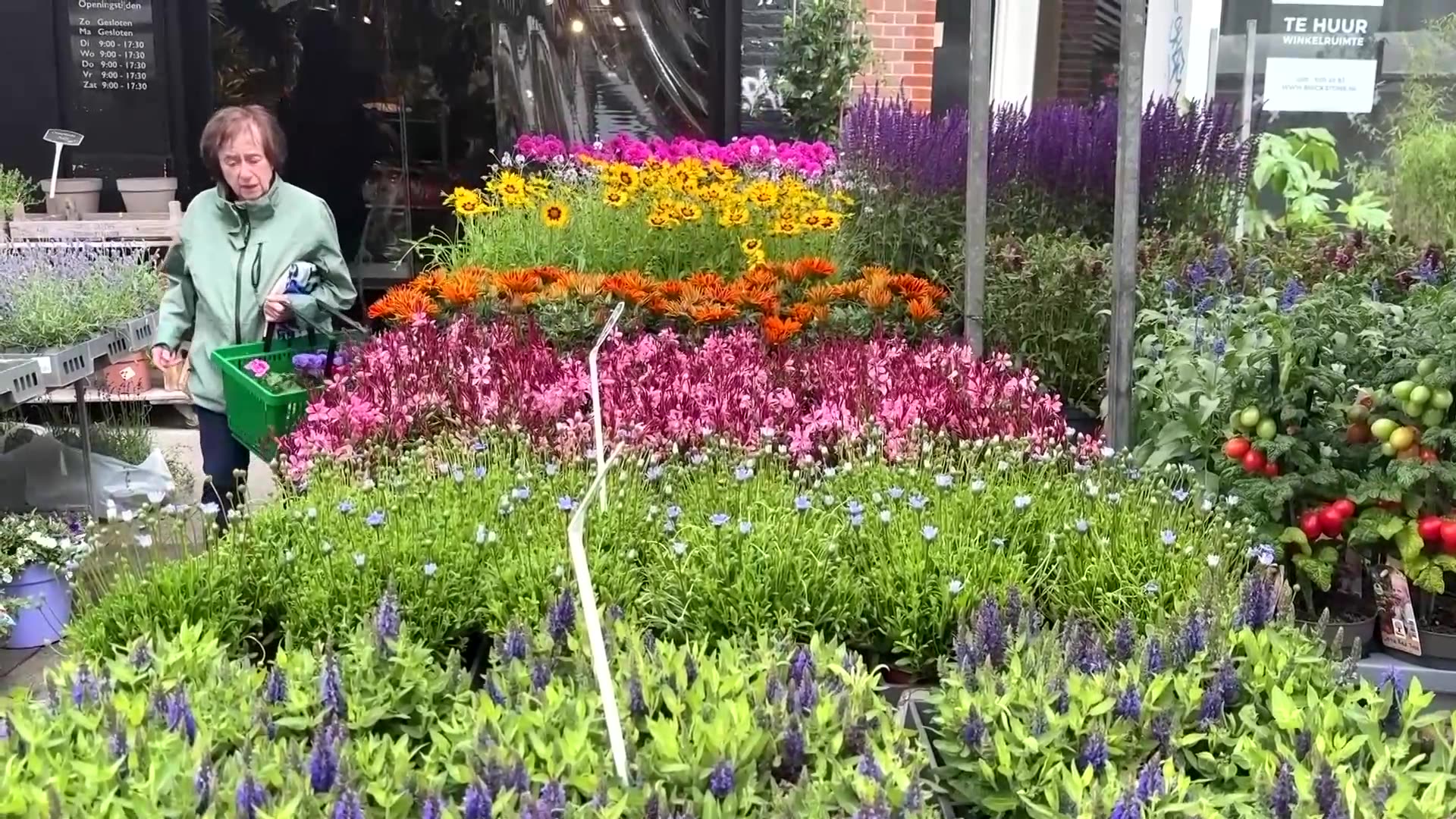 Dutch far-right leader Wilders quits coalition, toppling government