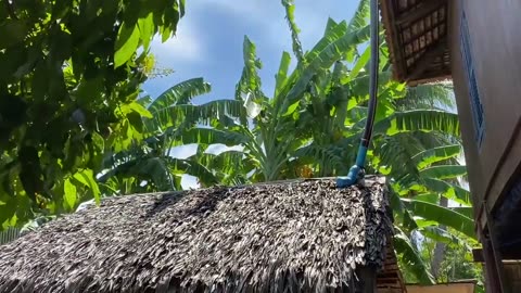 Seyhak pick guava with grandmother - Prepare food for family lunch time - Sreypov Life Show