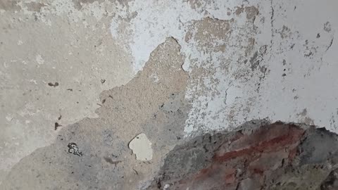 Don't know if only I see Allah in the wall but I see a bearded turban guy