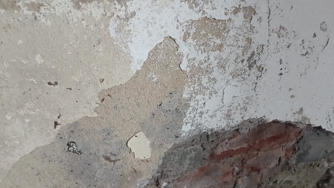 Don't know if only I see Allah in the wall but I see a bearded turban guy
