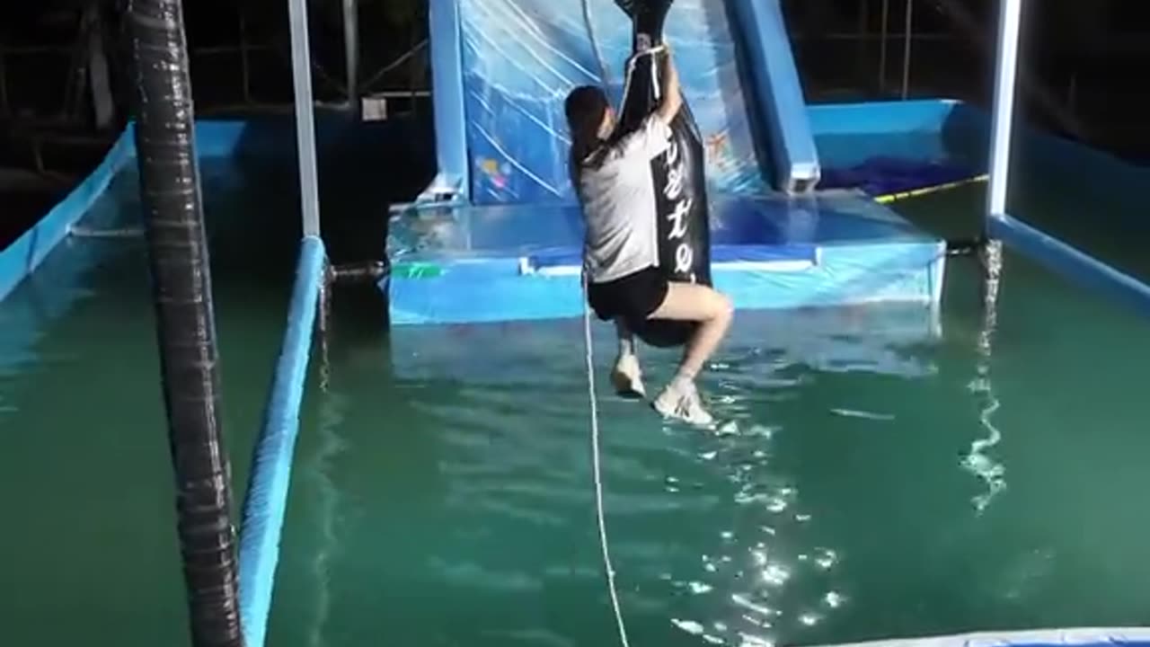 Japón