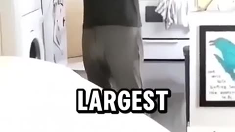 😂🤣 The Face That Says It All is UNBELIEVABLE! | FunFM