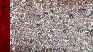 🚨RIVER CHERWELL IN OXFORD HAS BECOME SUPERDUMP