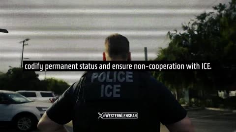 THE DEMOCRAT OPEN BORDERS PLAN TO ENTRENCH SINGLE-PARTY RULE