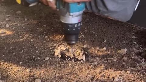 😲🌱 Plant Timelapse That’s Surprisingly Funny! | FunFM