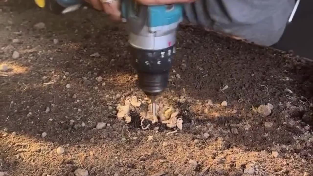 😲🌱 Plant Timelapse That’s Surprisingly Funny! | FunFM