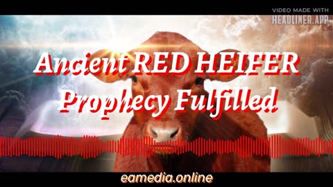 Ancient Red Heifer Sacrifice Prophecy Fulfilled