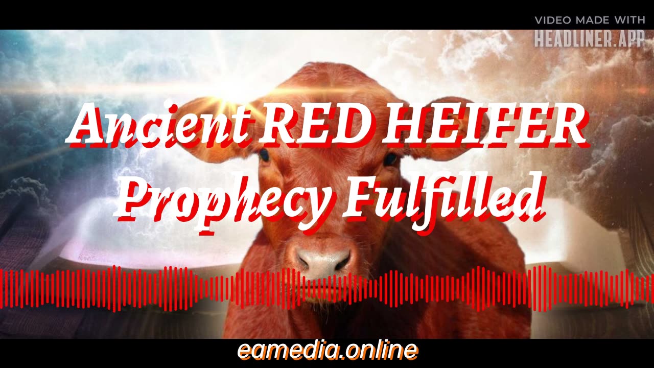 Ancient Red Heifer Sacrifice Prophecy Fulfilled