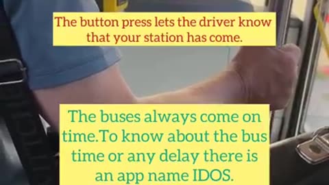 Prague Buses Travel Without Conductor #shorts #ytshorts #shortsfeed #wanderlust #buses #wanderer