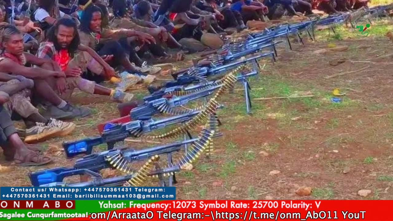 Gabaasa Tarkaanfii ONM-ABO Fulbaana 8-2025 itti dhiyaadhaa!