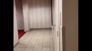 😂😱 You Won't Believe This Hilarious Prank on His Girlfriend! | FunFM